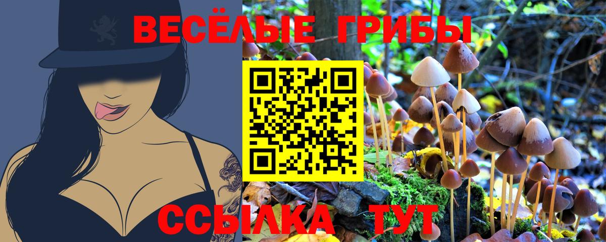 Янаул  Псилоцибиновые грибы мухоморы  Вход с VPN 